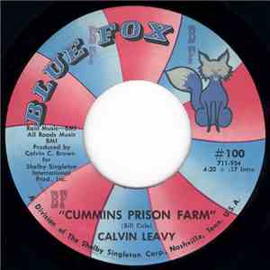Calvin Leavy - Cummins Prison Farm / Brought You To The City
