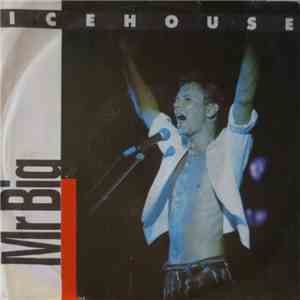 Icehouse - Mr Big