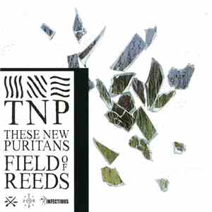 These New Puritans - Field Of Reeds