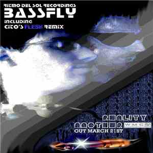 Bass Fly - Another Reality