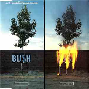 Bush - Swallowed
