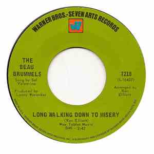 The Beau Brummels - Long Walking Down To Misery