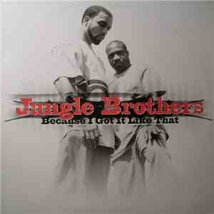 Jungle Brothers - Because I Got It Like That