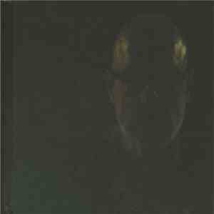 Brian Eno - Reflection
