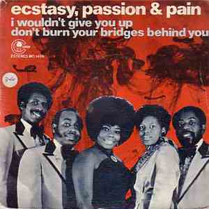 Ecstasy, Passion & Pain - I Wouldn't Give You Up / Don't Burn Your Bridges  ...