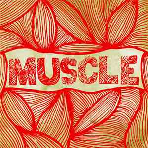 Muscle  - Muscle