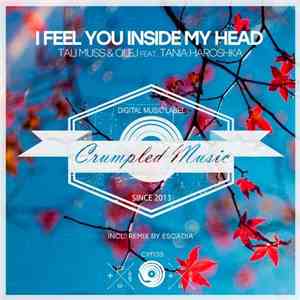 Tali Muss & Olej Feat. Tania Haroshka - I Feel You Inside My Head