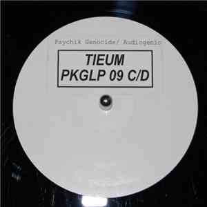 Tieum - I've Got Nothing To Lose Vol. 2