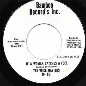 Voice Masters - You've Hurt Me Baby
