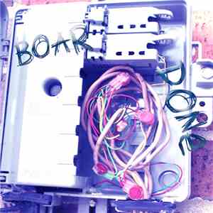 Boar - Done