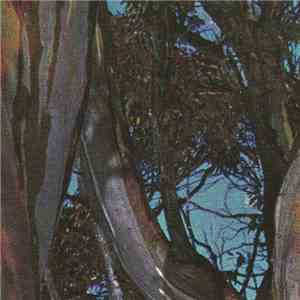 The Knot - Tidewrack