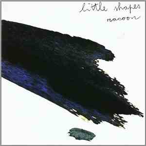 Racoon  - Little Shapes