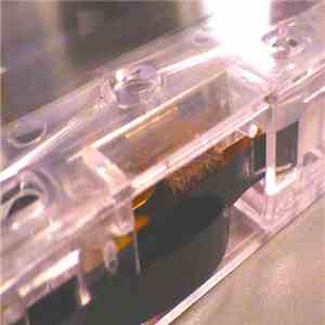 Various - Ephemeroptera: Tape Splice Zine No. 2