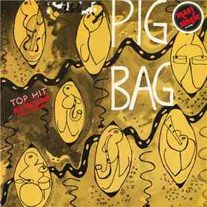 Pigbag - Papa's Got A Brand New Pigbag