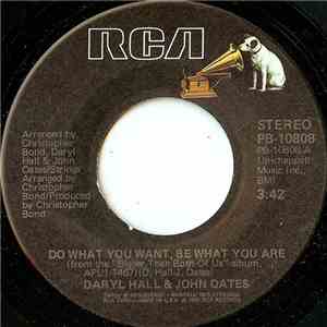Daryl Hall & John Oates - Do What You Want, Be What You Are