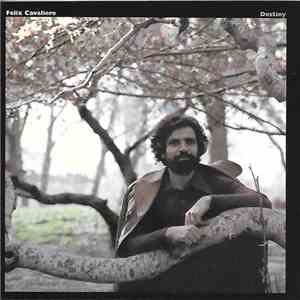 Felix Cavaliere - Destiny