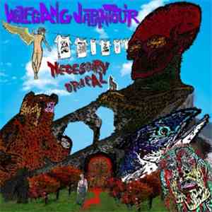 Wolfgang Japantour - Necessary Ordeal