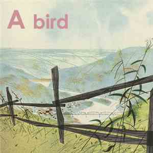 A. Bird - The Day You Held My Hand