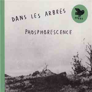 Dans Les Arbres - Phosphorescence