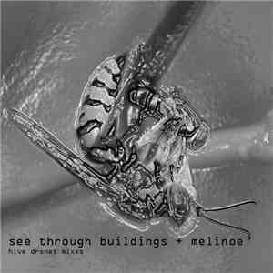 See Through Buildings - Hive Drones Mixes