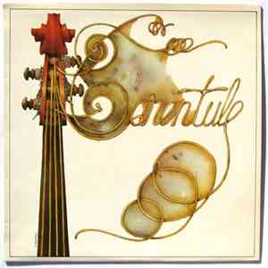 Tarentule - Tarentule