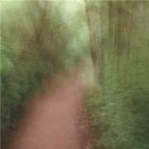 Hunter-Gatherer  - Wayward Gospels