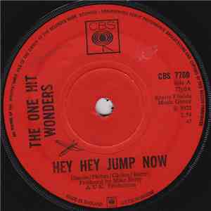 The One Hit Wonders - Hey Hey Jump Now