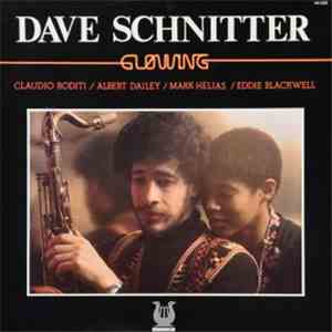 Dave Schnitter - Glowing