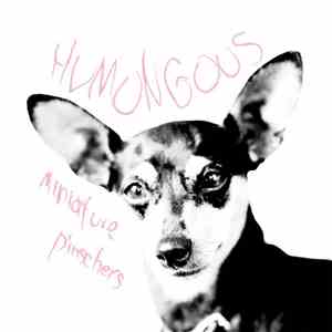 Humongous  - Miniature Pinschers