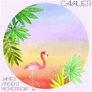 James Vincent McMorrow - Cavalier