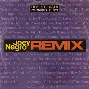 Joy Salinas - The Mystery Of Love (Joey Negro Remixes)