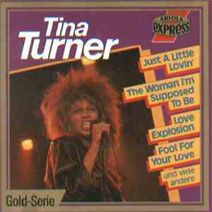 Tina Turner - Star Festival