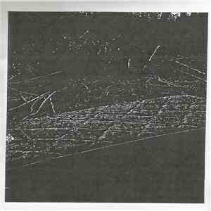 Gratified - Virgin Woods