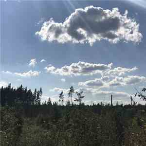 Razxca - Metody Sna