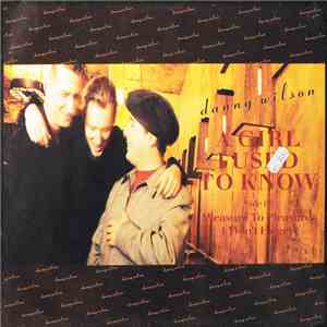 Danny Wilson  - A Girl I Used To Know