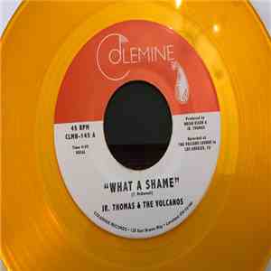 Jr. Thomas & The Volcanos - What A Shame / Brian Wilson