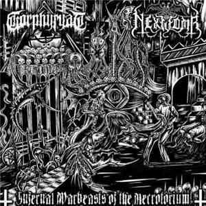 Gorphyryac / Nexwomb - Infernal Warbeasts Of The Necrotorium