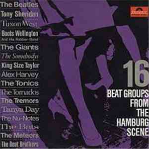 Various - 16 Beat Groups From The Hamburg Scene