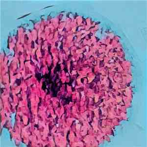 Adenip - Quinto Sol