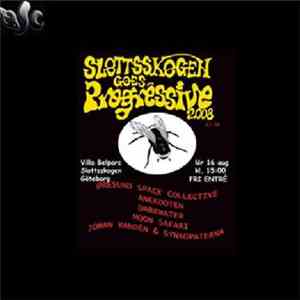 Øresund Space Collective - Slottsskogen Goes Progressive  2008