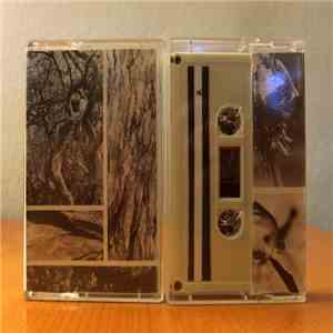 Collector  - The Blooms
