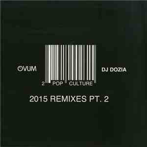 DJ Dozia - Pop Culture 2015 Remixes Part 2