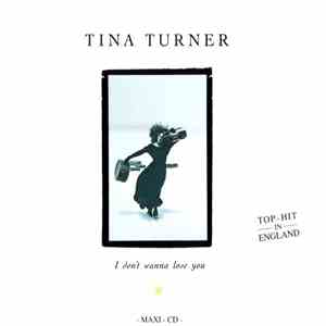 Tina Turner - I Don't Wanna Lose You