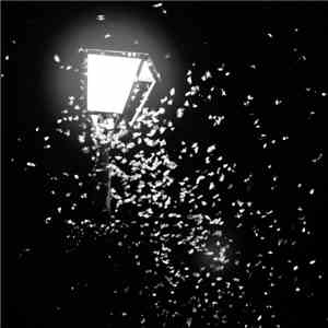 Mothboy, Amantra - Ten Thousand Swerves/G & C