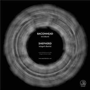 Baconhead / Shepherd  - Novahawk / Winged Chariot