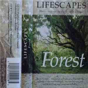 Dirk Freymuth - Forest