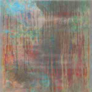 Roxanne Jean Polise - Changing Light Patterns Of The Underwater Forest (Vol ...