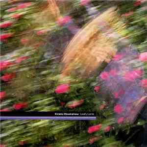Kirsty Hawkshaw - Leafy Lane