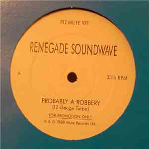 Renegade Soundwave - Probably A Robbery