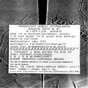 Various - Transient Sonic Stimulants Volume XXIX #37